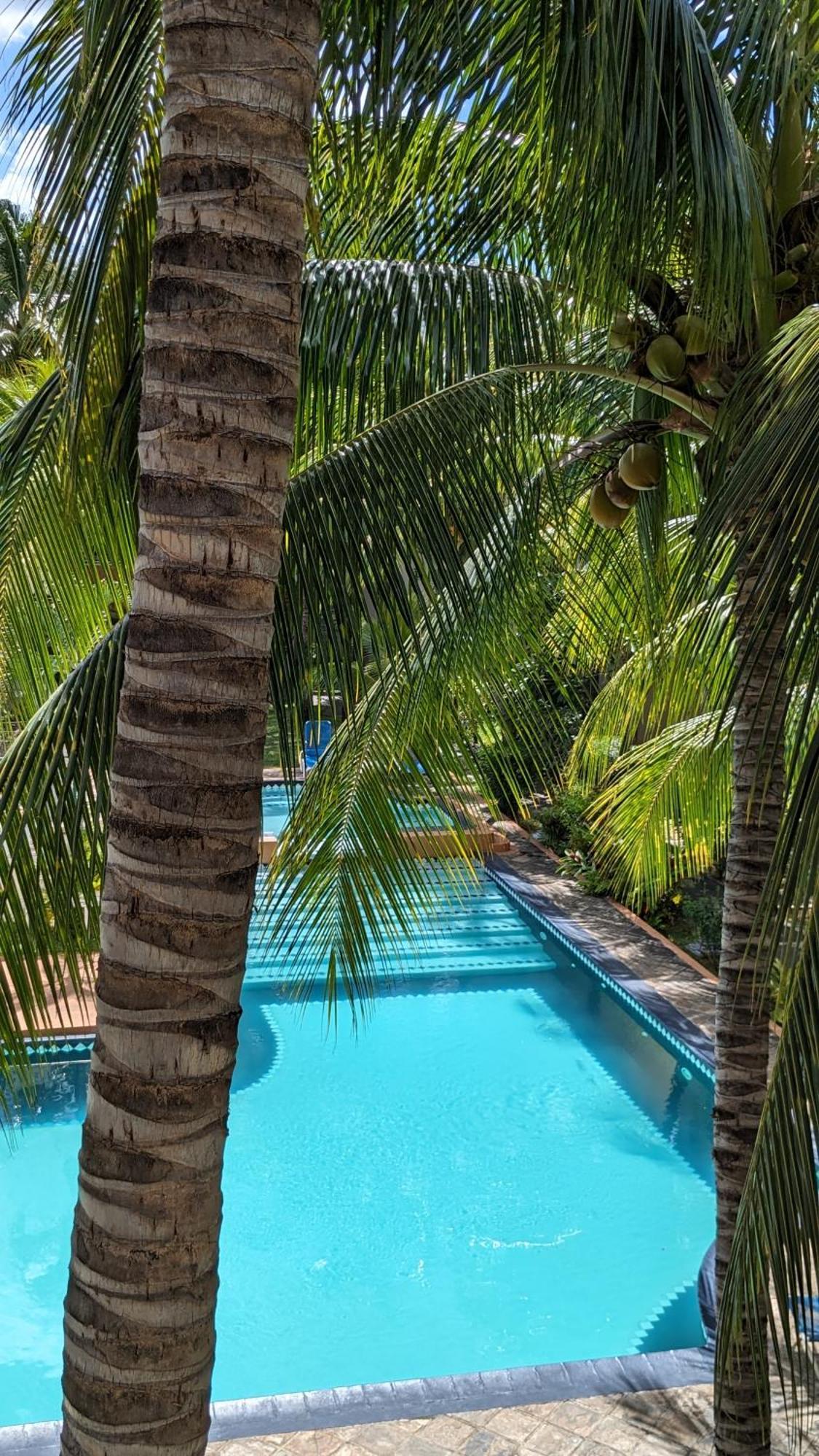 Charming Apartment Close To Beach & Amenities - Appartement De Charme Proche Plage Flic-en-Flacq Exteriér fotografie